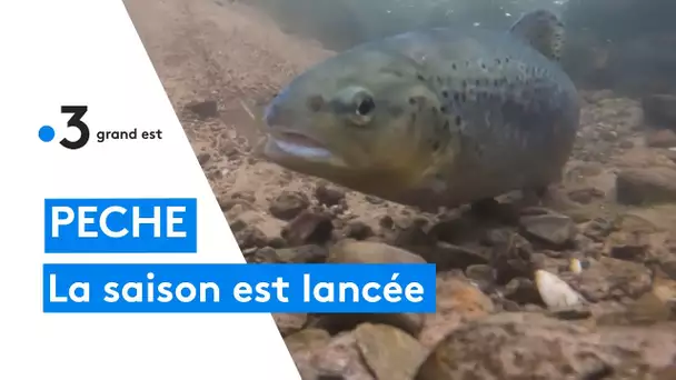 Pêche : l'ouverture est proche