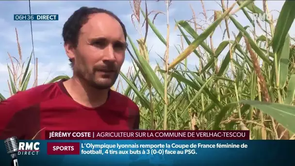 Sécheresse en France: des sols extrêmement secs et des champs qui manquent d'eau
