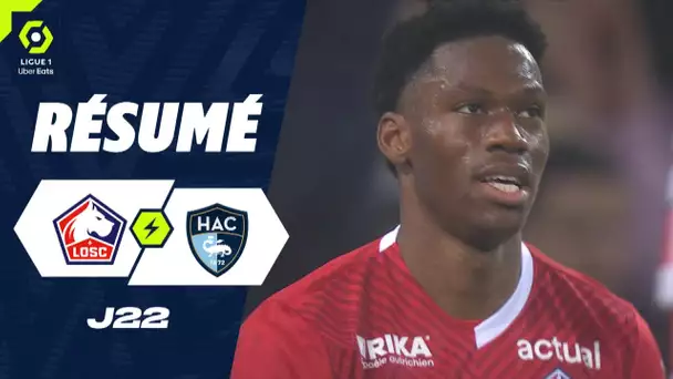 LOSC LILLE - HAVRE AC (3 - 0) - Résumé - (LOSC - HAC) / 2023/2024