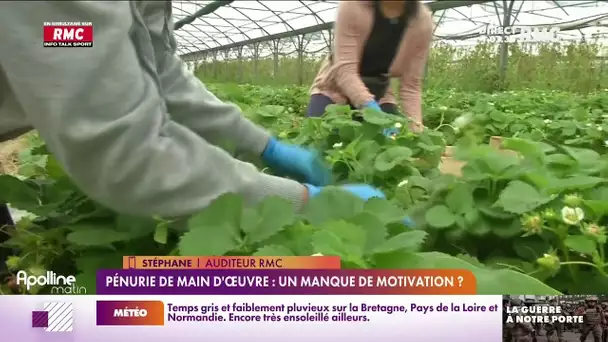 Stéphane, auditeur RMC : 'J'ai du boulot mais je ne trouve plus personne".