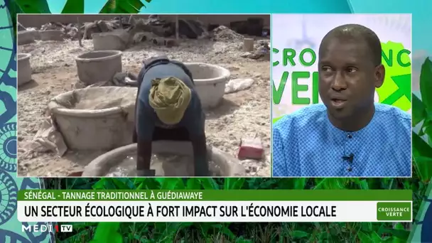 Tannage traditionnel à Guédiawaye: Un secteur écologique à fort impact sur l’économie locale