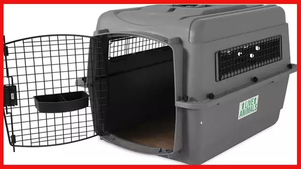 Petmate Sky Kennel Pet Carrier