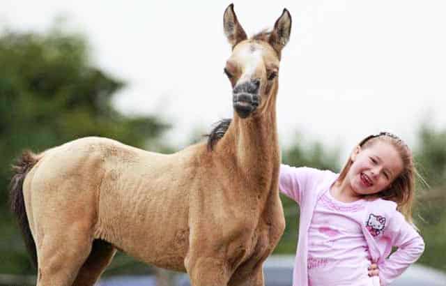 Ces Incroyables Animaux Atteints De Trisomie Vont Vous Faire Craquer Allo Trends